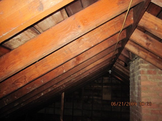 Attic area