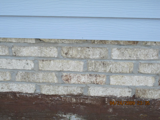 foundation
